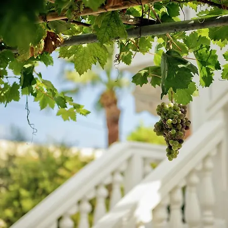 Mavrias Complex Apartamento *