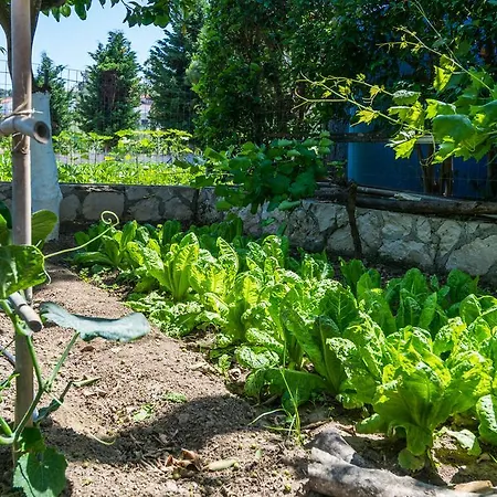 Apartamento Mavrias Complex *