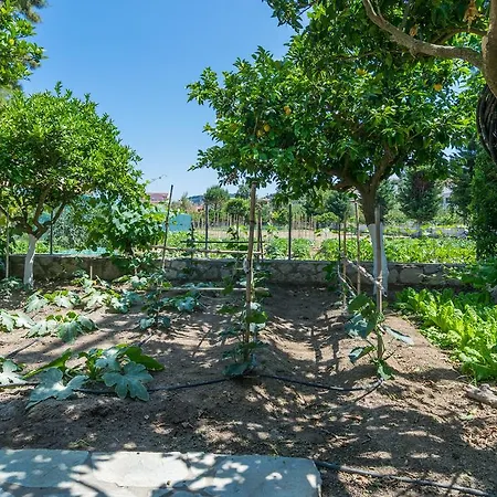 Apartamento Mavrias Complex Tsilivi (Zakynthos)